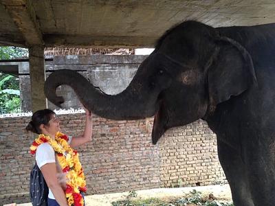 Teach English & Support Sustainable Development in Rural Nepal — photo 9