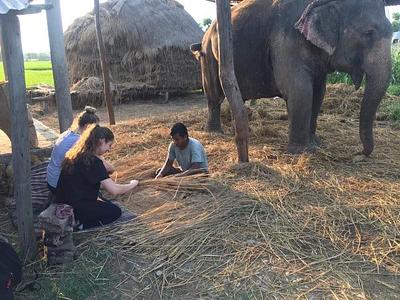Teach English & Support Sustainable Development in Rural Nepal — photo 10